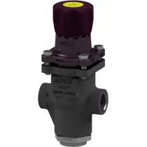 Клапан редукционный прямого действия из стали резьбовой ADCA PRV25/2SG P1,4-4 Ру25 Ду3/4 (PN25 DN20 )