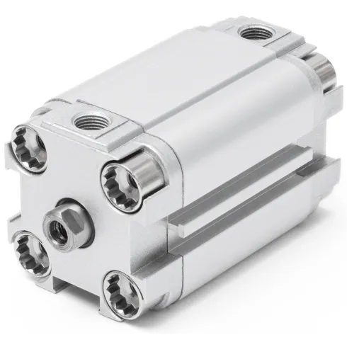 Компактный пневмоцилиндр Naval Pneumatics ADVU-100-30-A-P-A