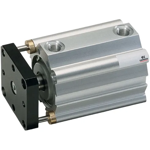 Короткоходовый пневмоцилиндр Camozzi QPR2A100A025
