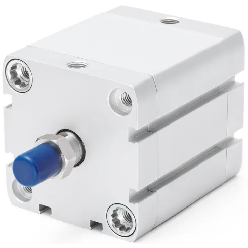 Компактный пневмоцилиндр Naval Pneumatics AEN-63-20-A-P-A